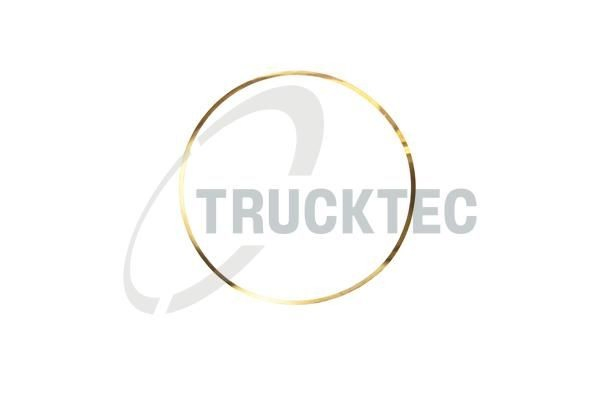 A4420110059 Mercedes Кільце ущільнювальне під гільзу двигуна